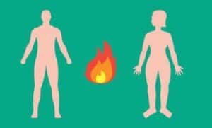 Pitta Body Types and Dosha