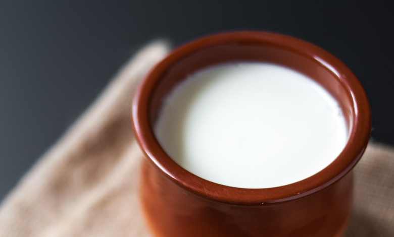 How to Eat Curd According to Ayurveda