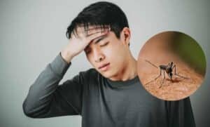 Ayurvedic Treatment for Dengue Fever