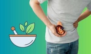 Ayurvedic Treatment for Kidney Diseases