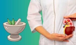 ayurvedic treatment for kidney stone