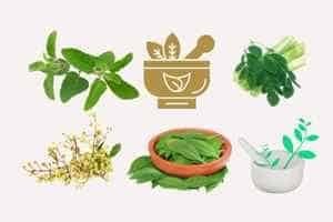 Ayurvedic Pharmacology and Medicinal plants